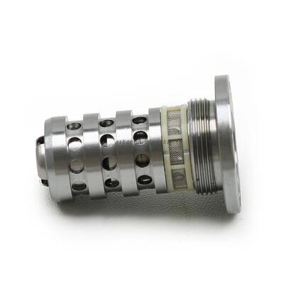 Engine Camshaft Adjuster Valve 21mm Fit For VW Beetle Golf AUDI A3 A4 1.8T 2.0T  06L109257F